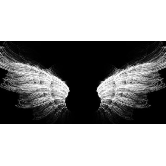 Obraz andělská křídla v černobílém provedení