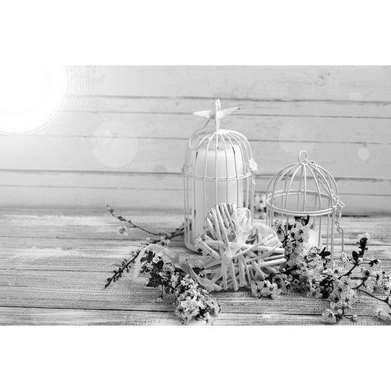 Jedinečná černobílá fototapeta vojtěšky se srdcem