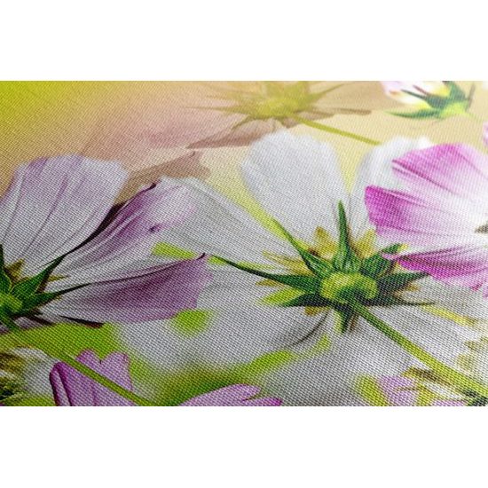 Obraz jemnost květin