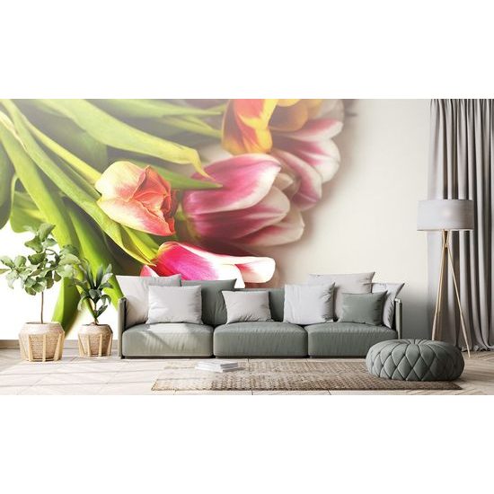 Samolepící fototapeta kytice jarních tulipánů