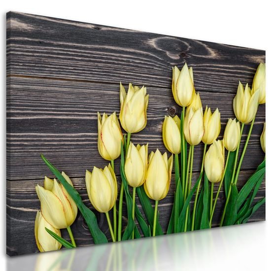 Obraz tulipány v jarní zahradě