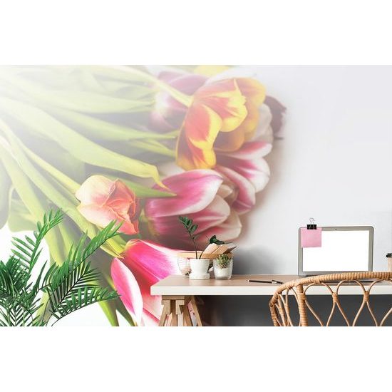 Samolepící fototapeta kytice jarních tulipánů