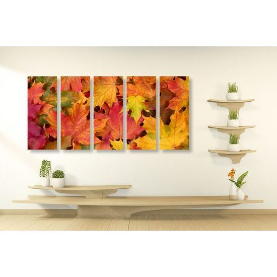 5-dílný obraz podzimní javorové listy
