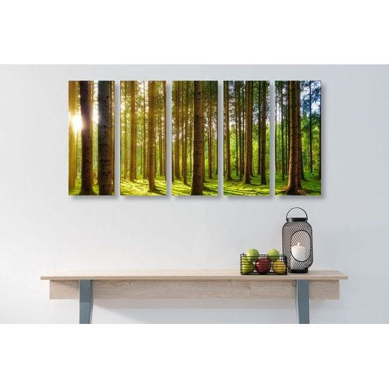 5-dílný obraz paprsky slunce mezi stromy