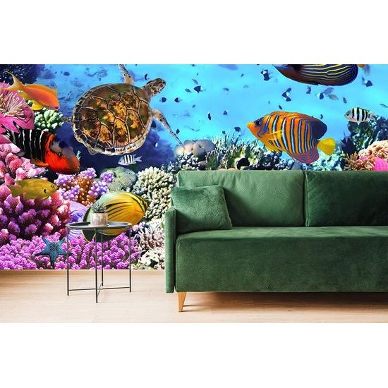 Fototapeta svět pod mořskou hladinou