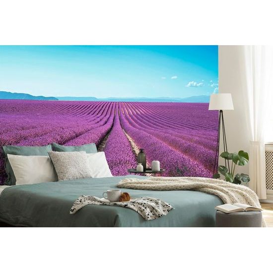 Krásná samolepící fototapeta nekončící levandulové pole