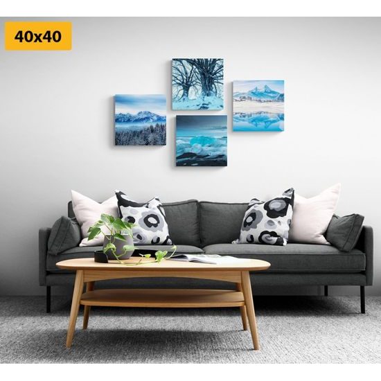 Set obrazů zasněžená příroda
