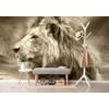 Öntapadó fotótapéta oroszlánfej oroszlán kivitelben