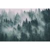 Kép ködbe burkolt fák