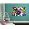 Kép bulldog pop art kivitelben