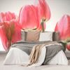 Öntapadó fotótapéta elegáns tulipán
