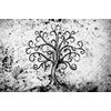 Kép életfa szimbóluma fekete-fehér kivitelben