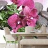Öntapadó fotótapéta lávakövek orchideával
