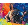 Festés számok szerint színes bulldog