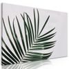 Kép minimalista pálmalevelek
