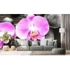 Öntapadó fotótapéta orchidea zen köveken