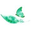 Tapéta  zöld pillangó tollal