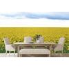 Repceföld öntapadó fotótapéta