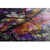 Kép sokszínű pillangó