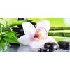 Kép Zen csendélet orchideával