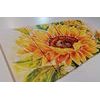 5 részes kép kivirágzott napraforgó