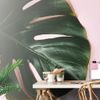 Monstera levél tapéta rózsaszín alapon