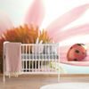 Eredeti fotótapéta egy katicabogárról echinacea virágon