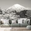 Fekete-fehér fotótapéta Fuji a japán természet ölelésében