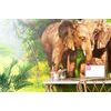 Eredeti elefánt család tapéta