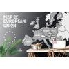 Tapéta Az Európai Unió fekete-fehér térképe modern kivitelben