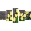 5 részes kép tulipánok a tavaszi kertben