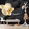 Öntapadó fotótapéta sárga orchidea és sötét kövek