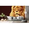 Oroszlánfej öntapadó tapéta absztrakt kivitelben