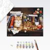 Festés számok szerint macska a könyvespolcon