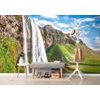 Fotótapéta híres izlandi Seljalandsfoss