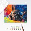 Festés számok szerint színes bulldog