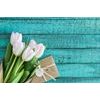 Tulipán fotótapéta borítékkal, fából készült háttérrel