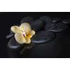 Fotótapéta sárga orchidea és sötét kövek