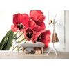 Öntapadó fotótapéta tűzpiros tulipánok