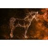 Érdekes ló öntapadó tapéta absztrakt háttéren