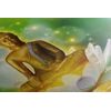 Kép harmonikus Buddha