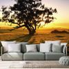 Öntapadó fotótapéta egy hatalmas fa naplementekor