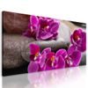 Kép Feng Shui csendélet lila orchideával