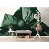 Fényes monstera levelek fotótapéta