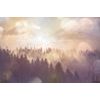 Öntapadó fotótapéta reggeli napsugarak az erdő felett