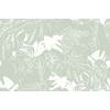 Tapéta elegáns monstera zöld tónusokkal