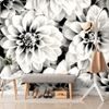Öntapadó fotótapéta bájos dália fekete-fehér változatban