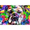 Bulldog tapéta pop art stílusban