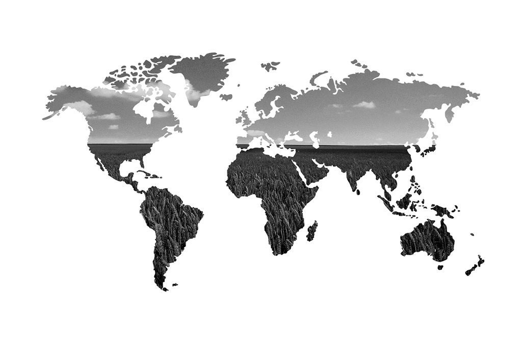 Nostre.hu - Fekete-fehér térkép tapéta érdekes kivitelben