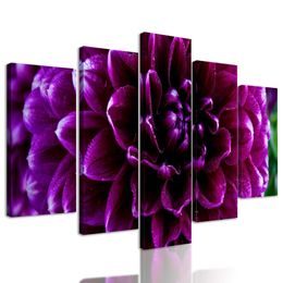 5 részes kép óriási lila virág